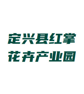 井陉矿定兴县红掌花卉产业园